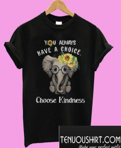 You always have a choice choose kindness T-Shirt