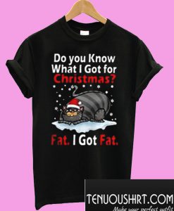 Fat I Got Fat Cat Do You Know What I Got For Christmas T-Shirt