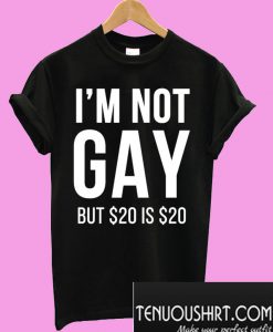 I'm not gay but $20 is $20 T-Shirt