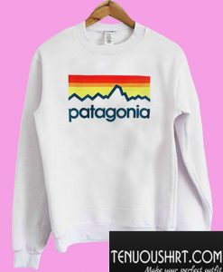 Patagonia Color Sweatshirt