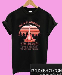 Be A Flamingo Always Be Fabulous Stay Balanced Stand By Your Flock T-Shirt