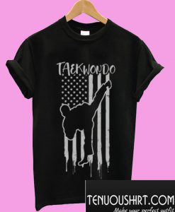 Taekwondo Patriotic US American T-Shirt