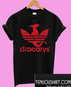 Awesome Dragon Dracarys T-Shirt