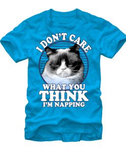 I Don't Care Grumpy Cat T-Shirt