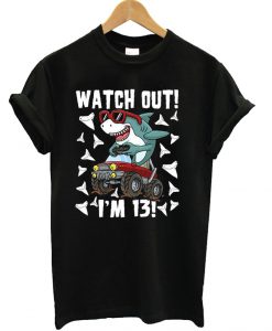 Thirteen 13 Years Old 13th T shirt