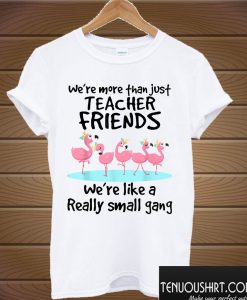 We're More Than Just Teacher Friends T shirt