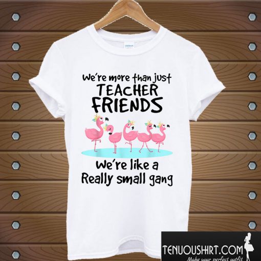 We're More Than Just Teacher Friends T shirt