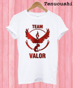 Team Valor T shirt