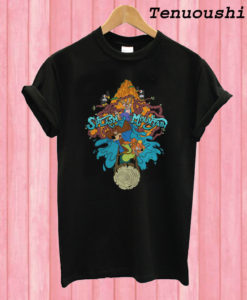 Splash Mountain T shirt