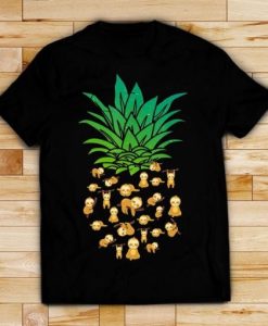 Sloth pineapple T shirt qn