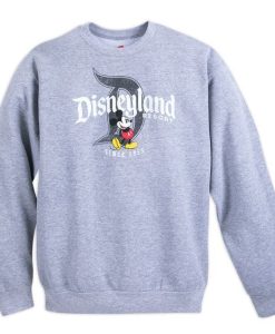 Disneyland Sweatshirt qn