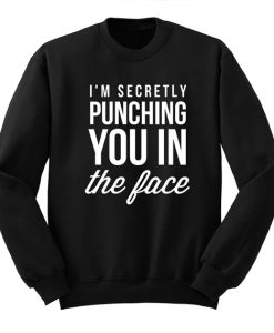 I’m Secretly Punching You in the Face, Sarcasm College Sweatshirt qn