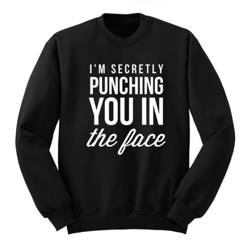I’m Secretly Punching You in the Face, Sarcasm College Sweatshirt qn