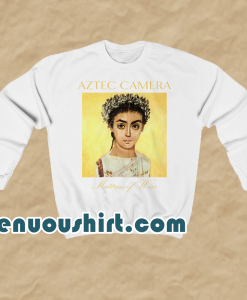 Aztec camera mattress of wire sweatshirt